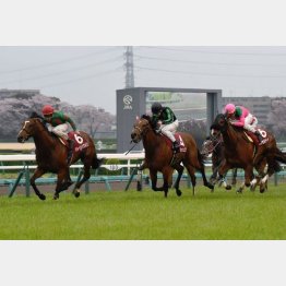 3歳時にGⅡニュージーランドTで②着
