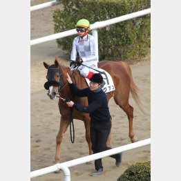 本紙弘中はグアンで勝負