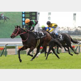 前回も鮮やかな勝利
