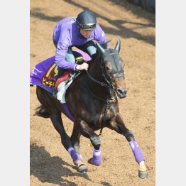 今週の坂路では1F12秒8と軽快な動き