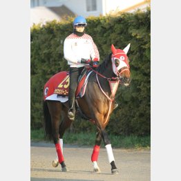 ラヴズオンリーユー