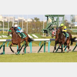 毎日杯では②着と小差の④着(左から2頭目)