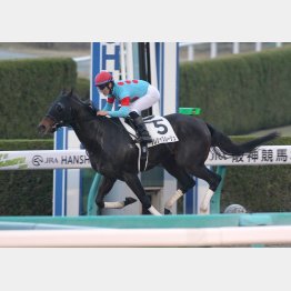 ブリンカー効果で一千万勝ち