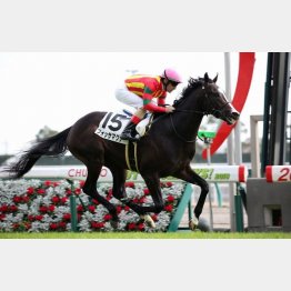 ノーステッキで新馬勝ち