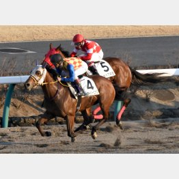 2走前の中山戦は完勝だった