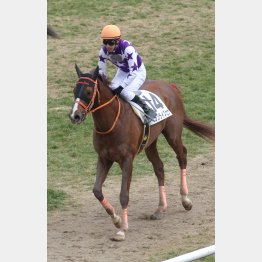 藤岡佑とは3戦連続でのコンビ
