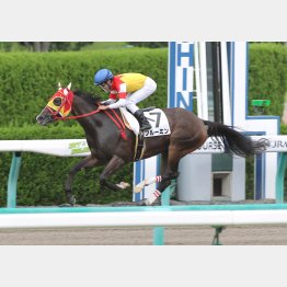 阪神7Fダートで五百万勝ち