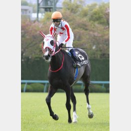 中間の動きも目立つ