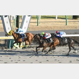 アレキサンドライトS勝ち