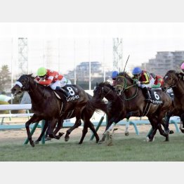 今年初戦の準オープン初富士Sを快勝