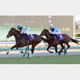 3連勝でGⅠ制覇