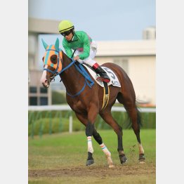 ダートで変わる