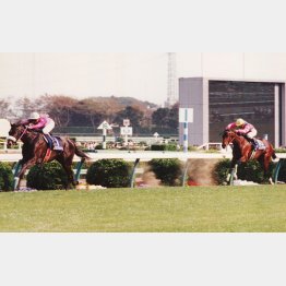 ナリタブライアンは皐月賞で②着3馬身差