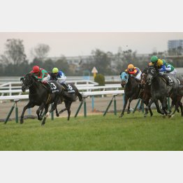 池添とのコンビで洛陽Sに勝利