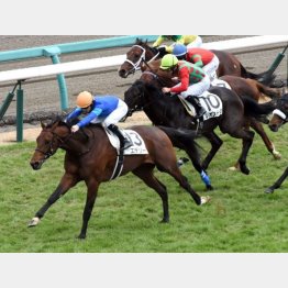 完勝で未勝利脱出