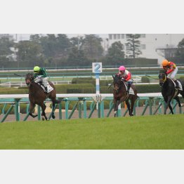 未勝利勝ちは余力十分