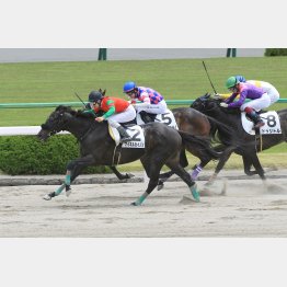 京都で五百万を差し切り