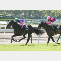 英彦山特別は危なげない勝ちっぷりだった