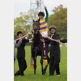 平成23年にヒルノダムールは「最も強い馬」になった