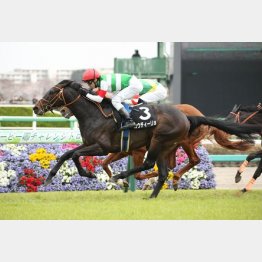 山吹賞は首差②着