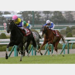 阪神大賞典③着は価値あり