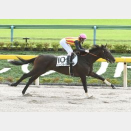 東京二千百で快勝のフォースライン