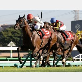 GⅡセントライト記念を快勝