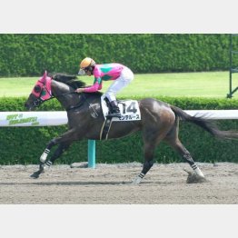 初勝利は9馬身差