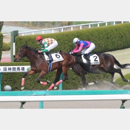 前走が強かったスピリットワンベル