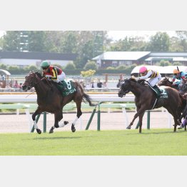 函館スプリントS勝ちの実績もある