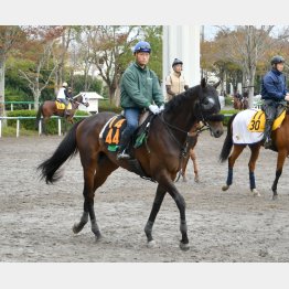 距離短縮はむしろプラス