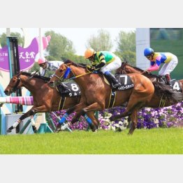 昨春の比良山特別で現級勝ち