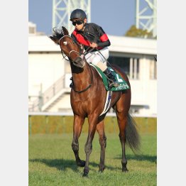 相手本線はシンザン勝ちのヴァルディゼール