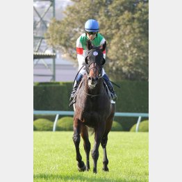 トゥザフロンティアは荻野極とのコンビで五百万勝ち