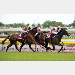 10年は10番人気の穴馬