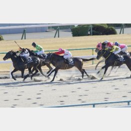 五条坂特別は首差②着