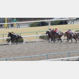 3走前は昇級初戦でいきなり②着