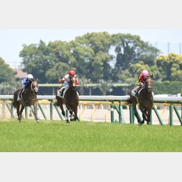 昨年はいきなりから後のGⅠ馬が2頭も