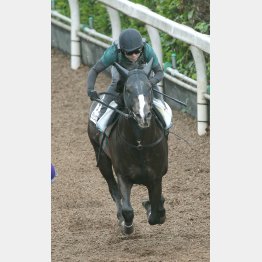 ケイコではインディチャンプに遅れたが…