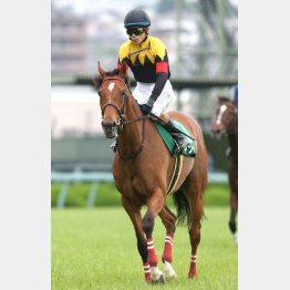 昨年は10番人気アンドリエッテが①着