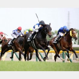 前走②着は価値あり(右)