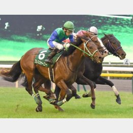 この舞台で東スポ杯勝ち