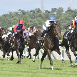 【宝塚記念】夏競馬に強い馬と弱い馬