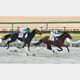 砂で2勝なら重馬場も