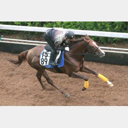 長谷川師が手綱を取っての追い切り