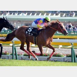 昇仙峡特別で逃げ切りV