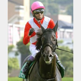 昨年は武豊トリオンフがレコードV
