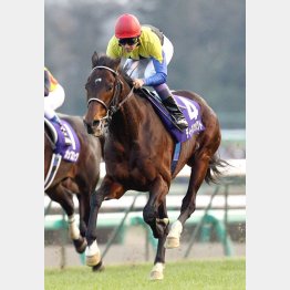 ディープインパクト 17歳で死す 日刊ゲンダイ競馬