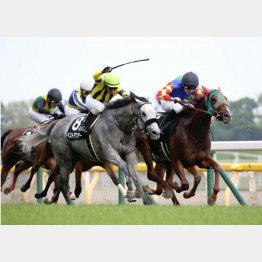 由比ケ浜特別を差し切り