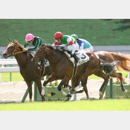 新馬戦完勝の素質馬だ